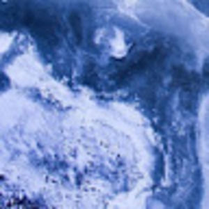 Meet your Posher, Sophia